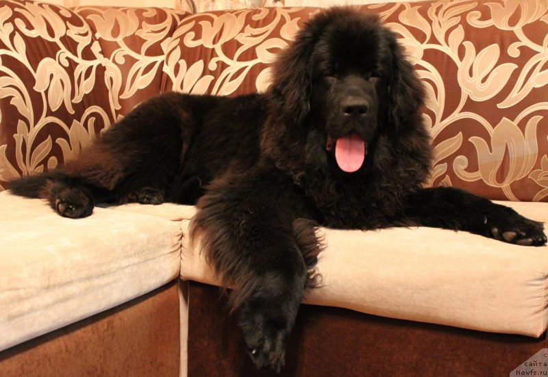 Фотография № 139679