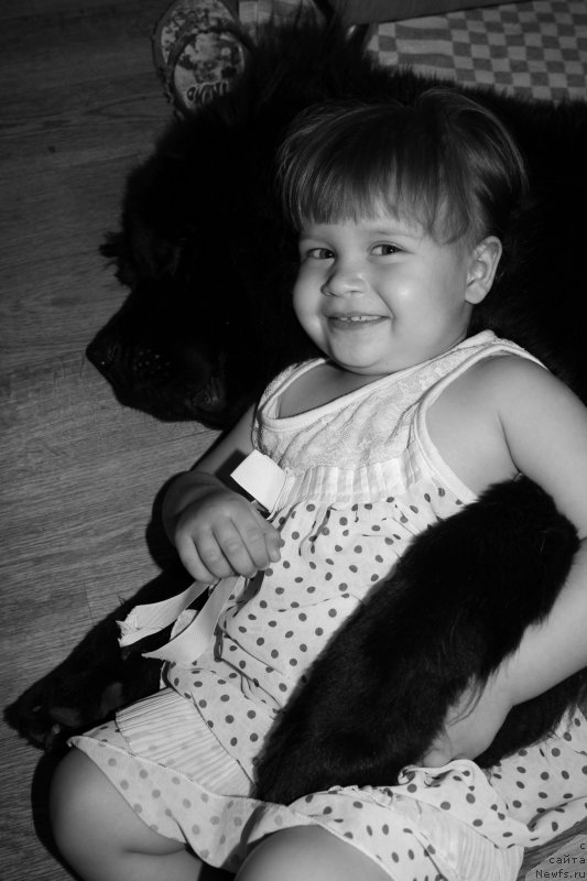 Фотография № 139682