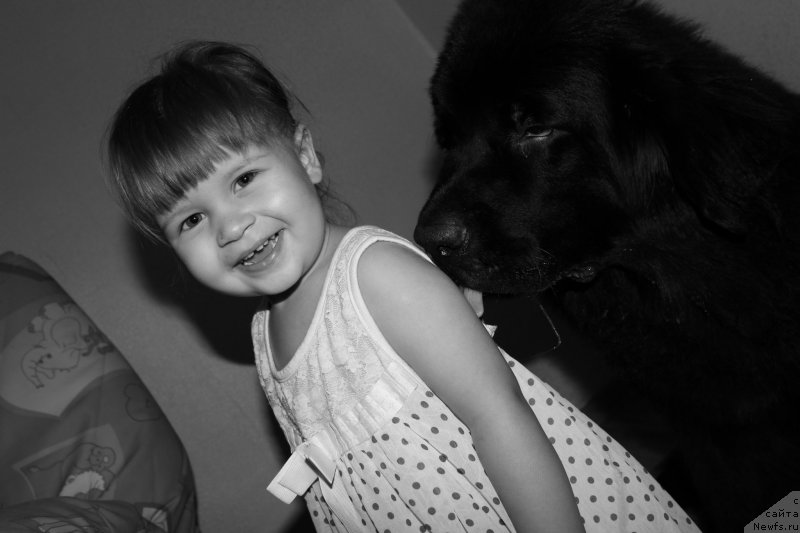 Фотография № 139683