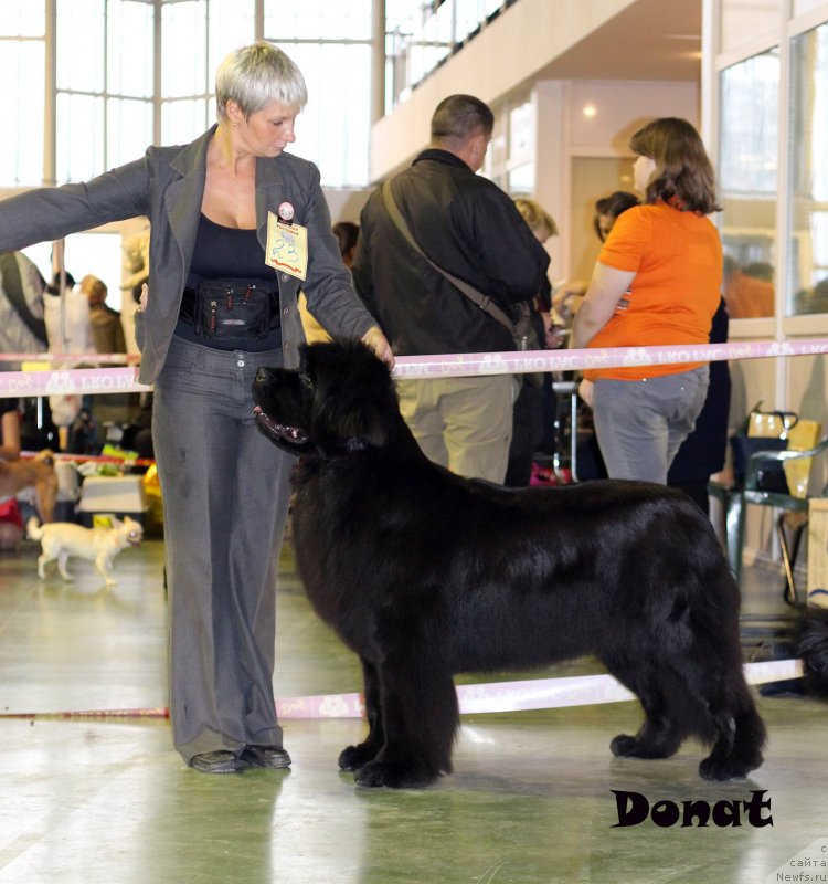 Фотография № 139742