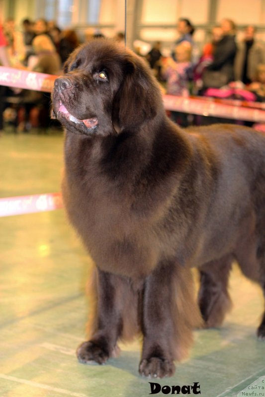 Фотография № 139746