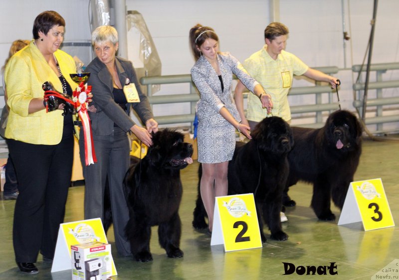 Фотография № 139753