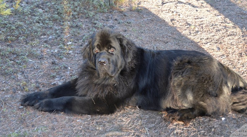 Фотография № 139757