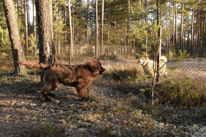 Фотография № 139761