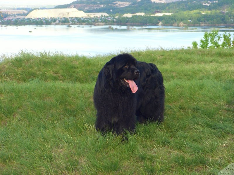 Фотография № 139762