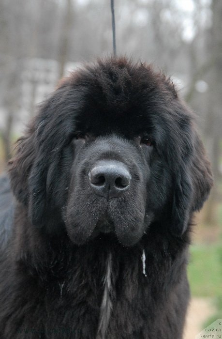 Фотография № 139765