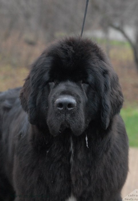 Фотография № 139766