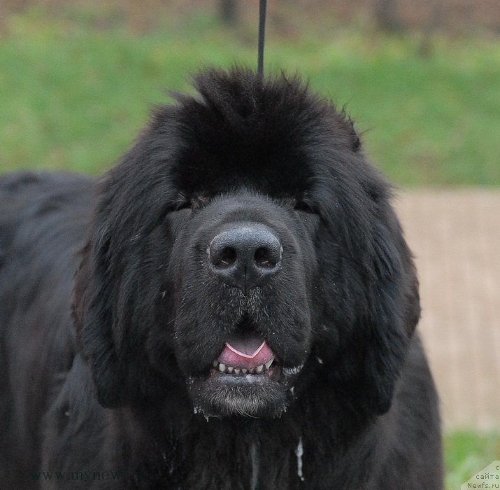 Фотография № 139768