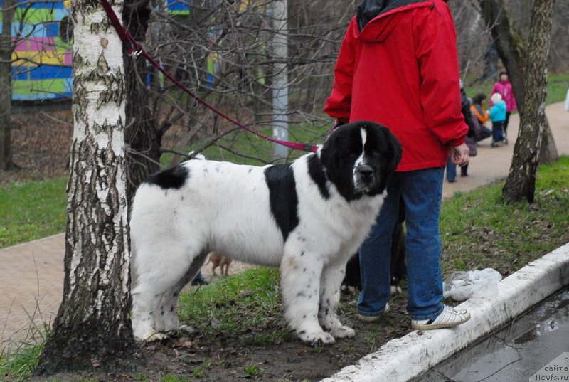 Фотография № 139796