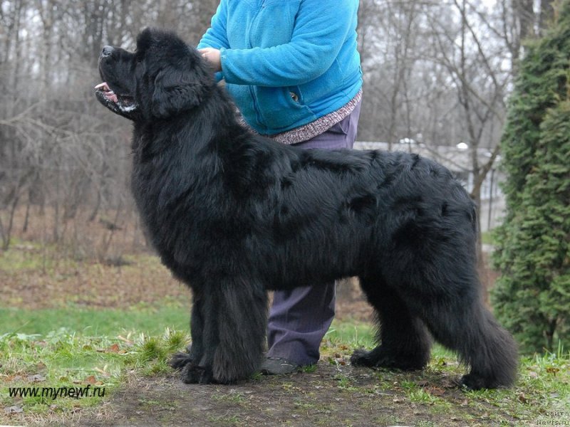 Фотография № 139801