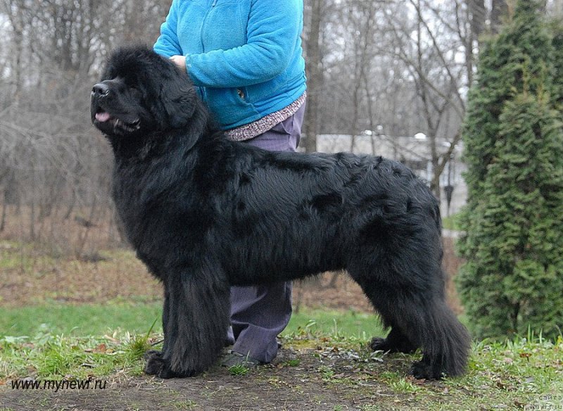 Фотография № 139802