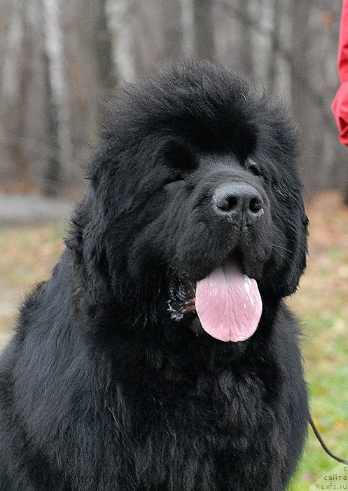 Фотография № 139804