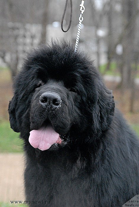 Фотография № 139805