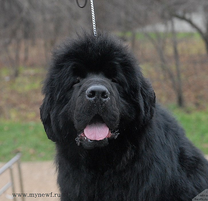 Фотография № 139806