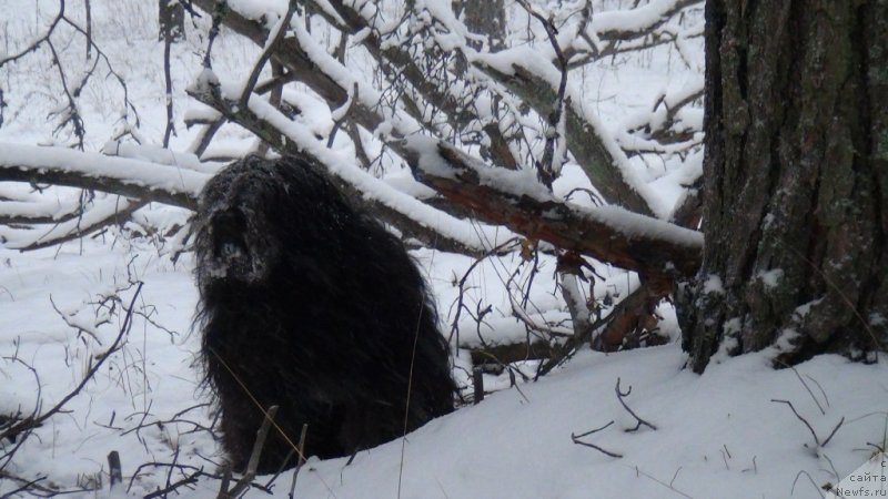 Фотография № 139909