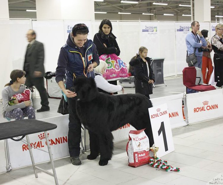 Фотография № 139916