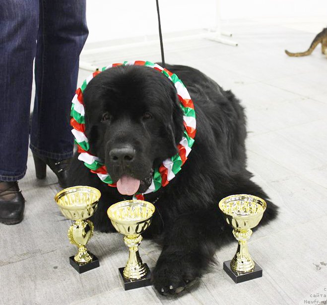 Фотография № 139917