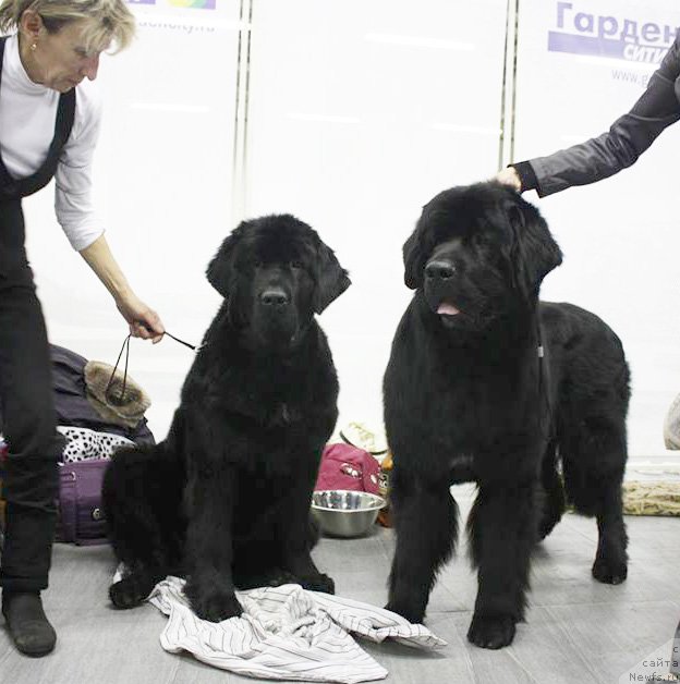 Фотография № 139918