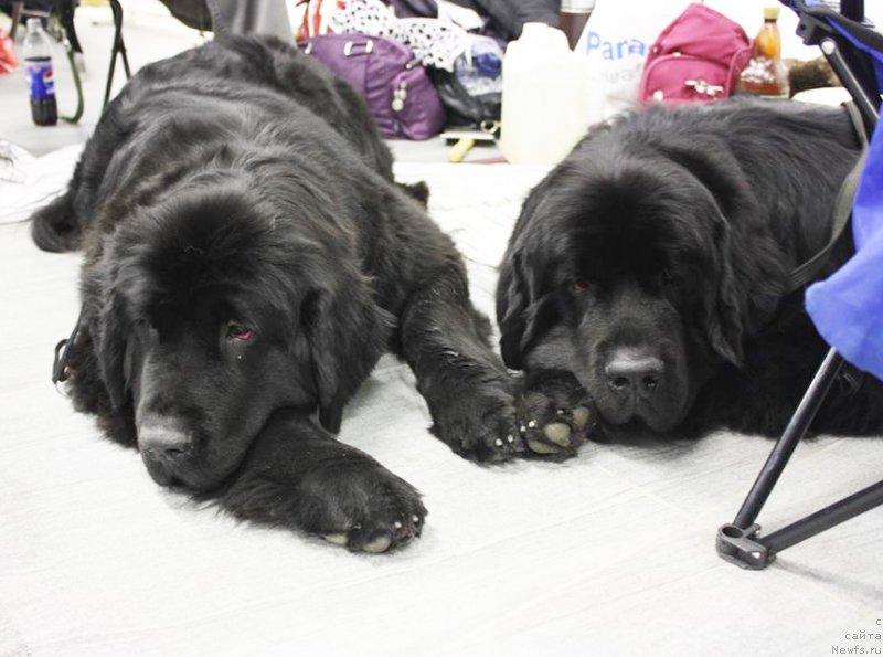 Фотография № 139919