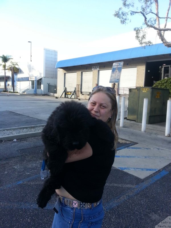 Фото: Veni Vidi Vici Dinastiya Soverchenstva, Natal'ya Pugalova (Наталья Пугалова)