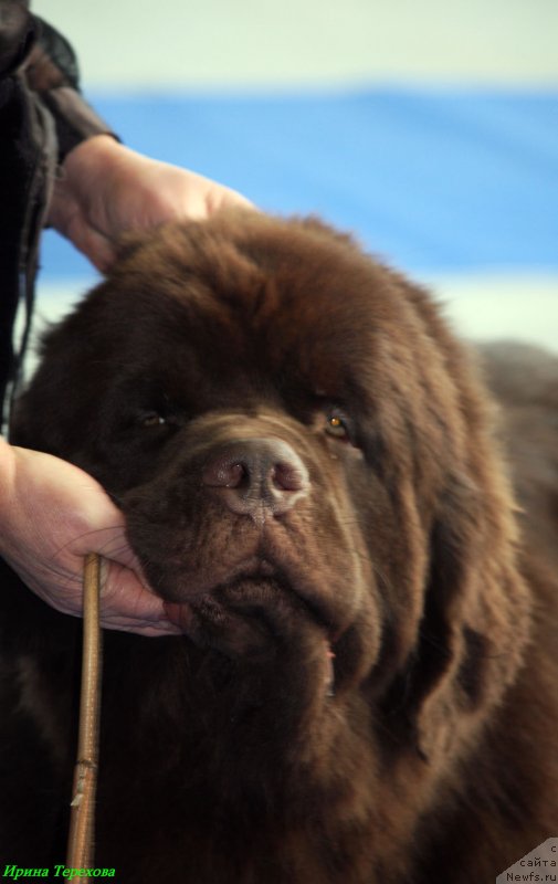 Фотография № 140002