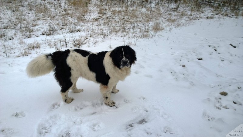 Фотография № 140048