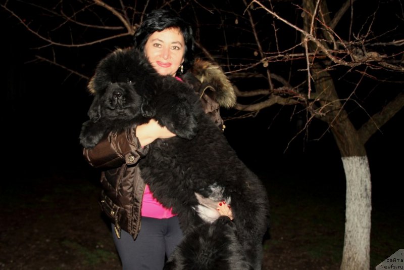 Фото: Victory Dance Dinastiya Soverchenstva