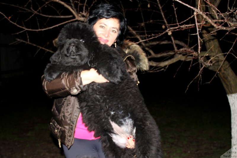 Фото: Victory Dance Dinastiya Soverchenstva