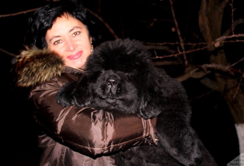 Фото: Victory Dance Dinastiya Soverchenstva