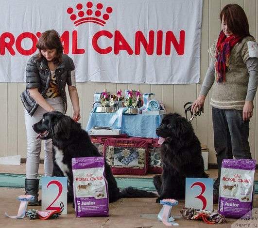 Фотография № 140072