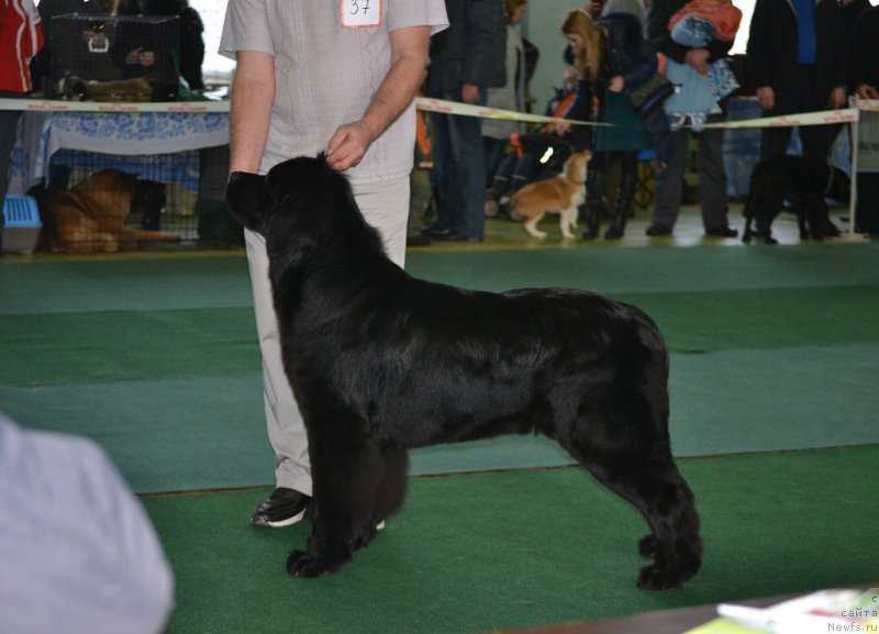 Фотография № 140105