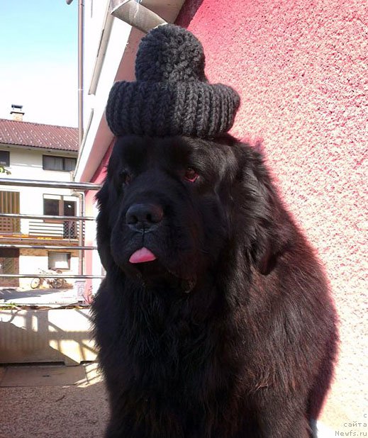 Фотография № 140116