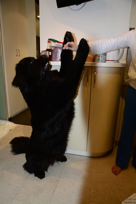 Фотография № 140248