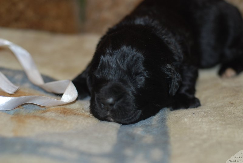 Фото: белый мальчик