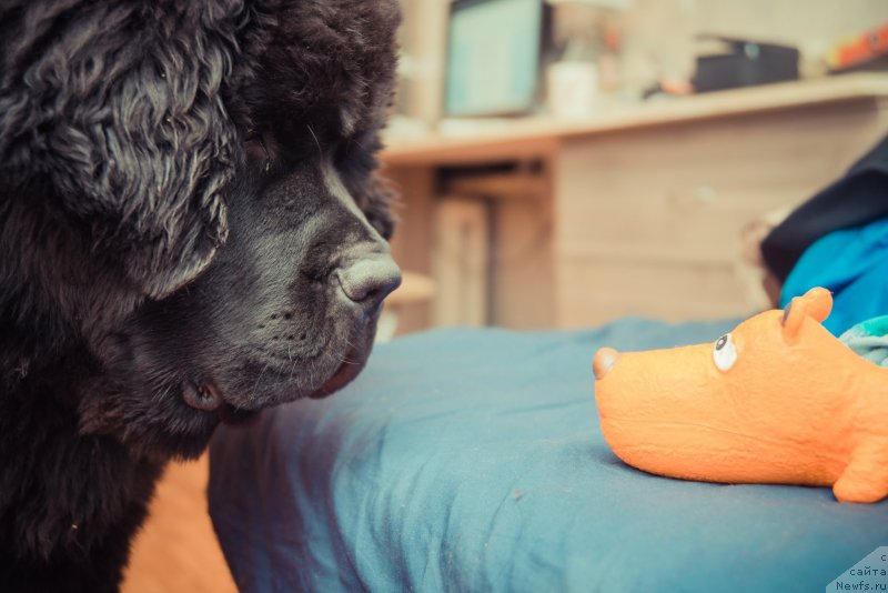 Фотография № 140343