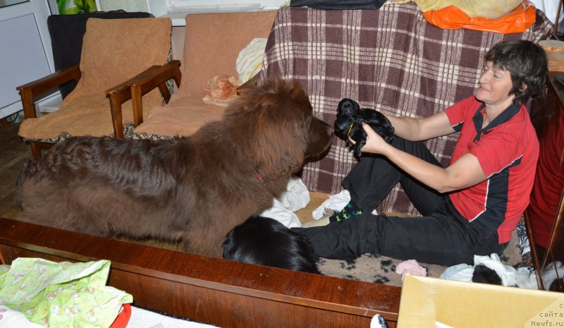 Фотография № 140369