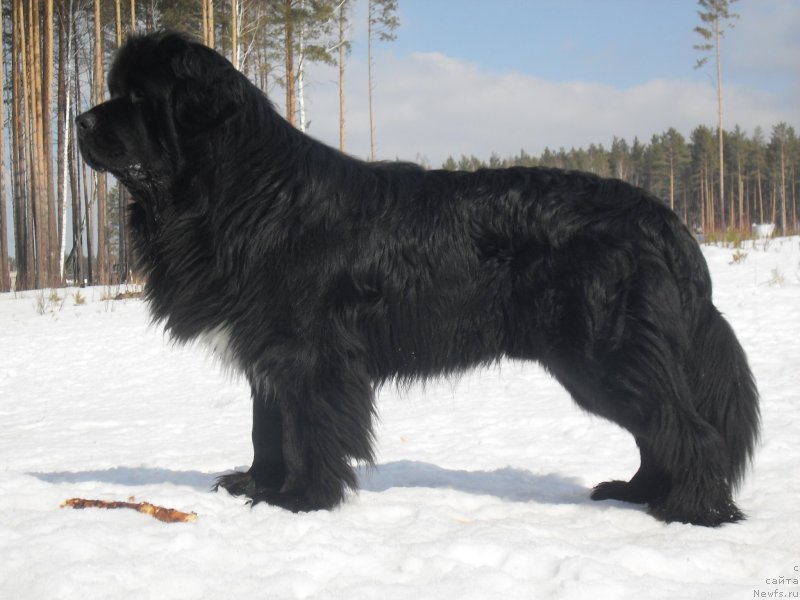 Фотография № 140418