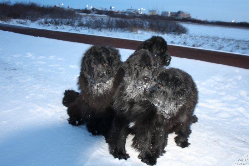 Фотография № 140440