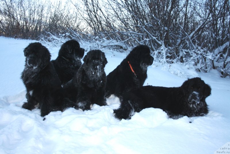 Фотография № 140441