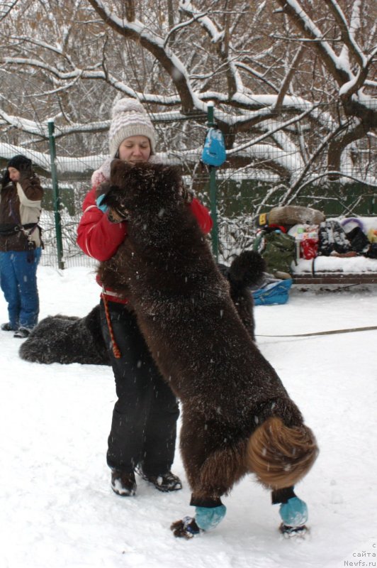 Фотография № 140530