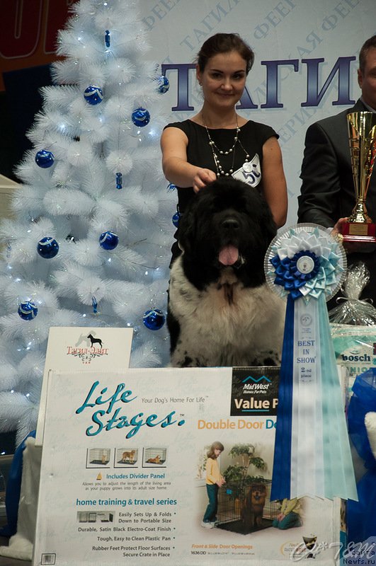 Фотография № 140554