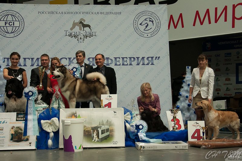 Фотография № 140555