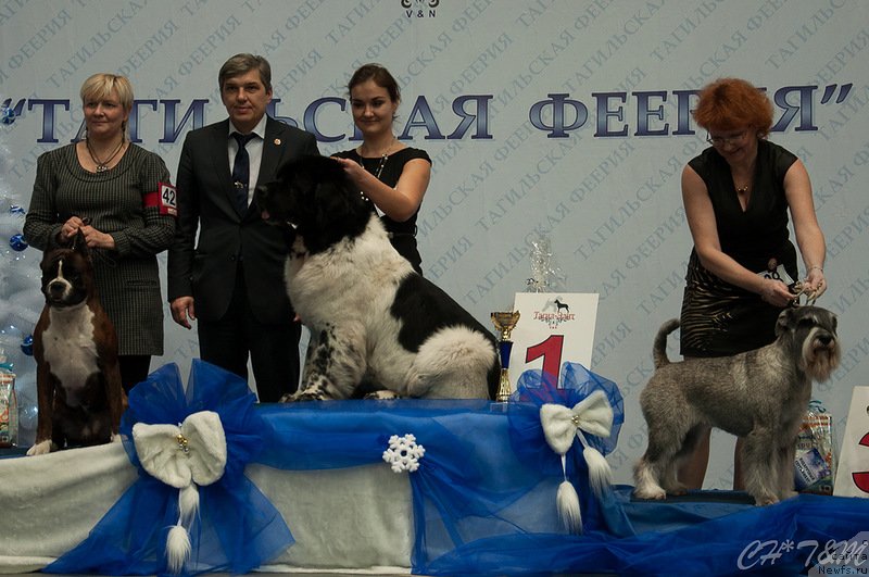 Фотография № 140556