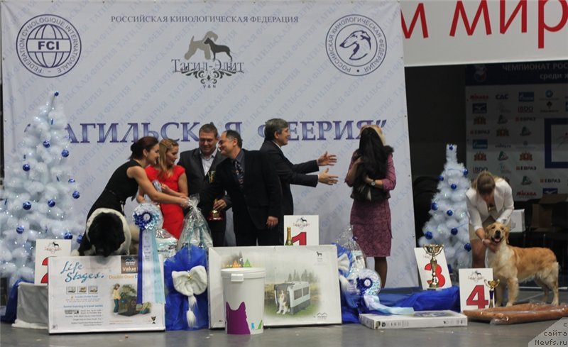 Фотография № 140557