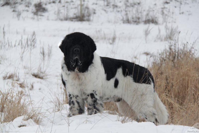 Фотография № 140567