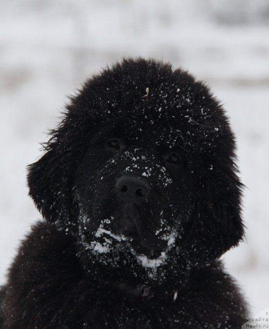 Фотография № 140570