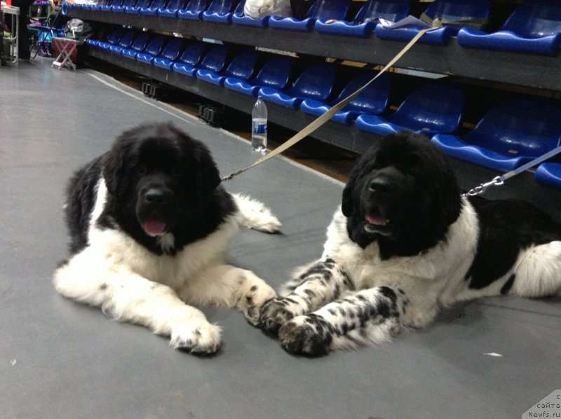 Фотография № 140606