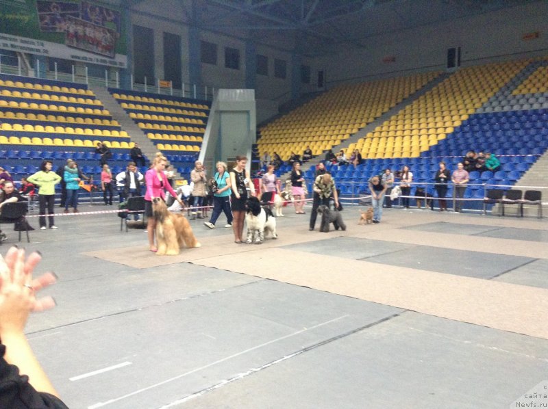 Фотография № 140607