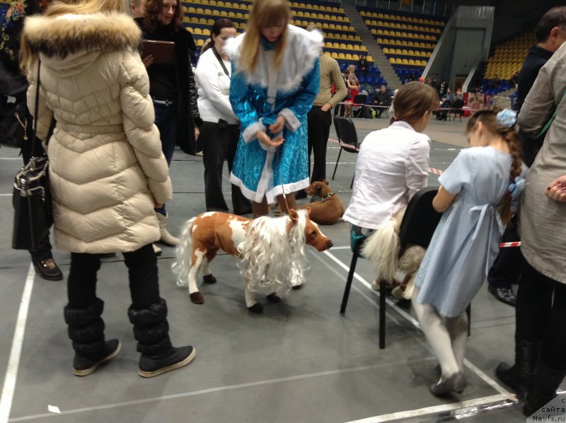 Фотография № 140609