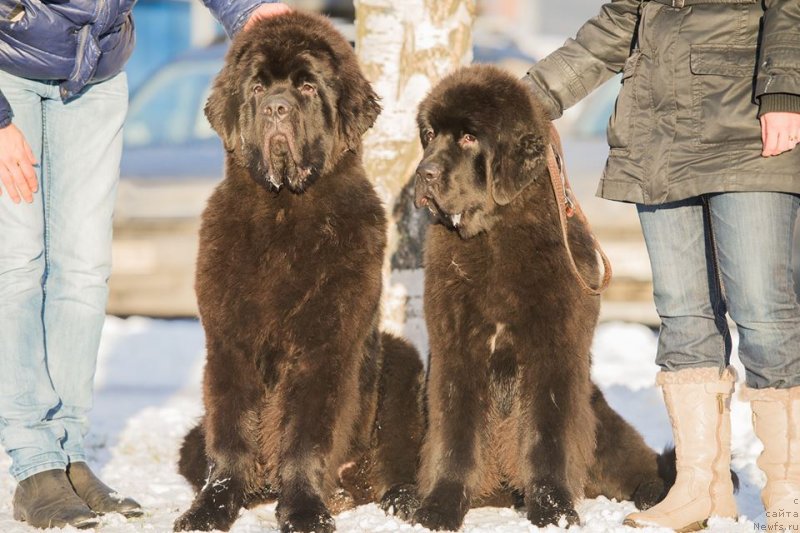 Фотография № 140612